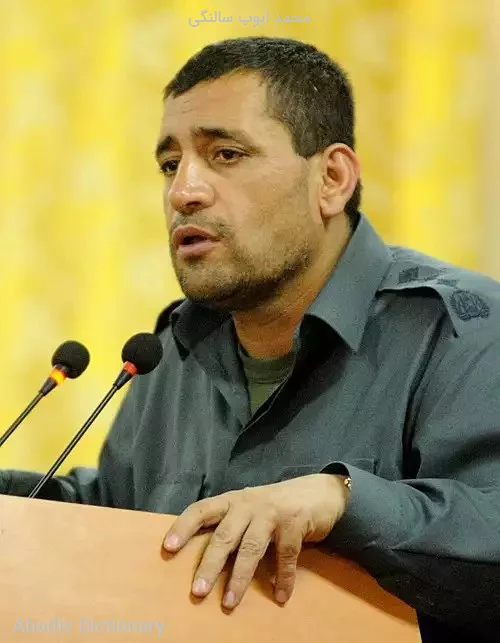 محمد ایوب سالنگی